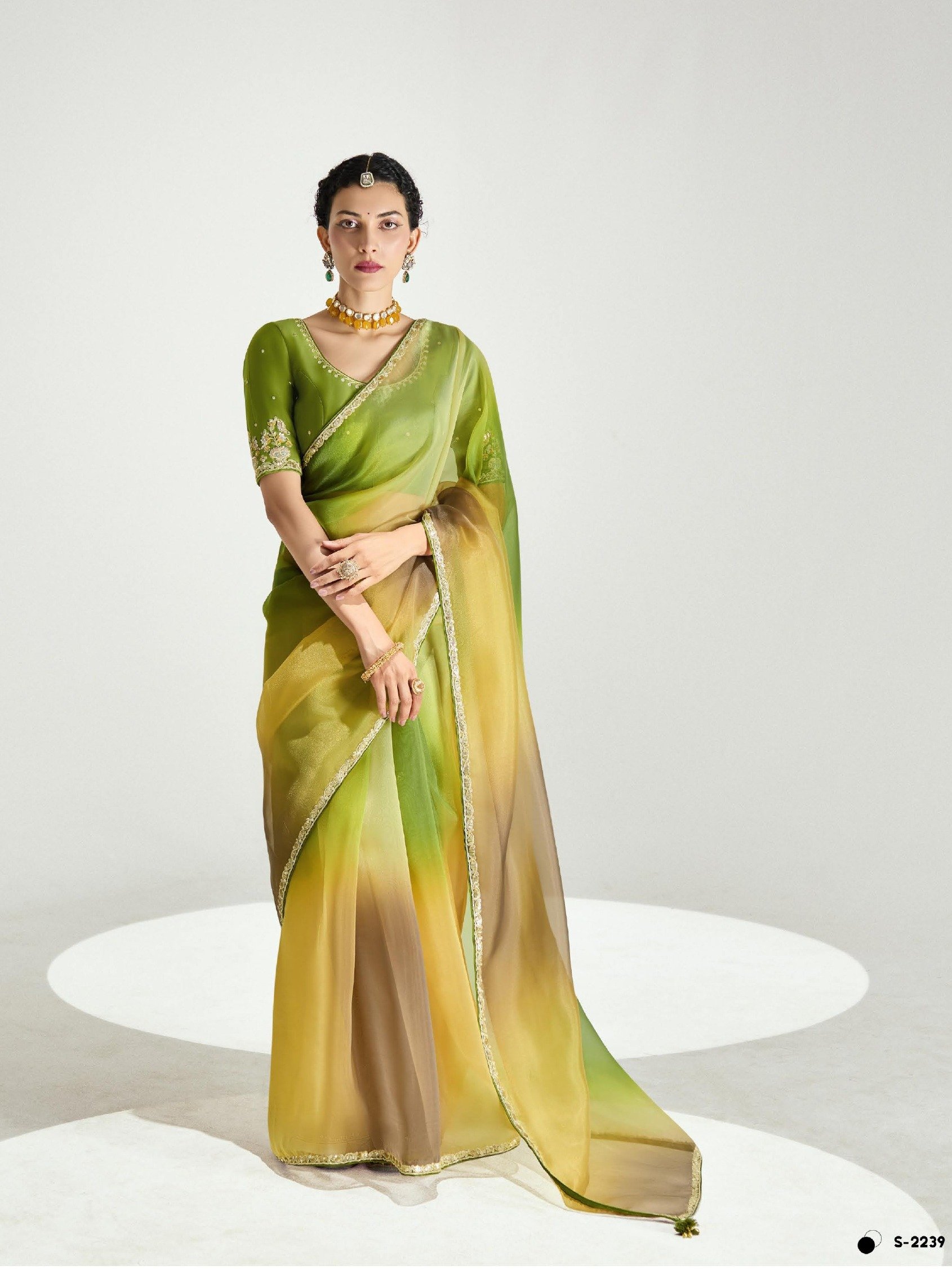 Tissue Organza Sarees with Rich Blouse