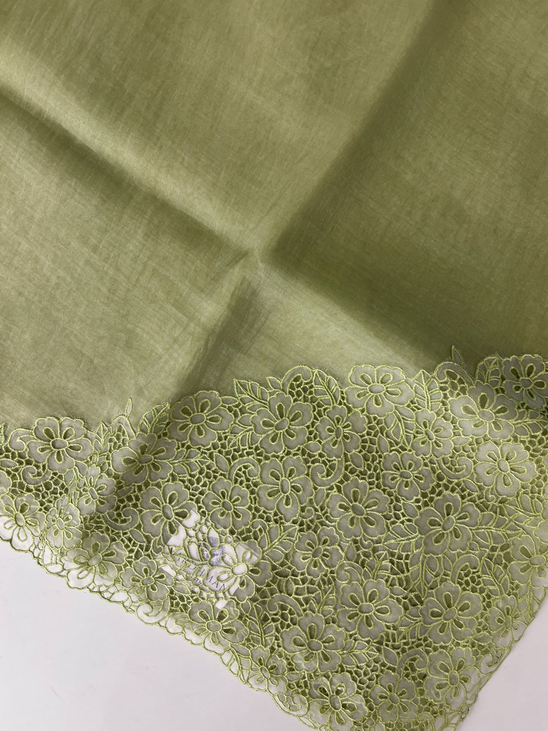 Light Green Tissue Organza Saree with Cutwork