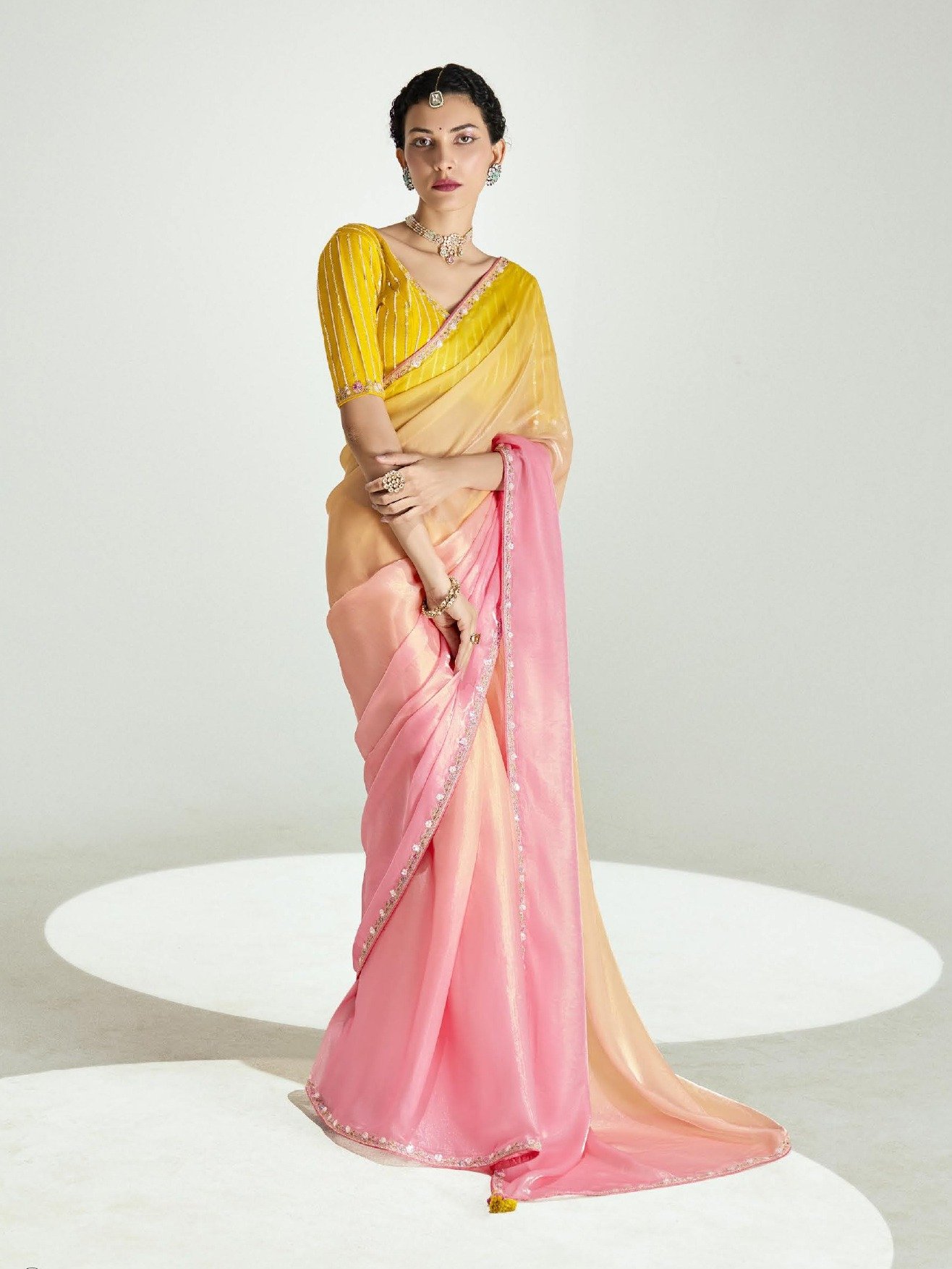 Tissue Organza Sarees with Rich Blouse