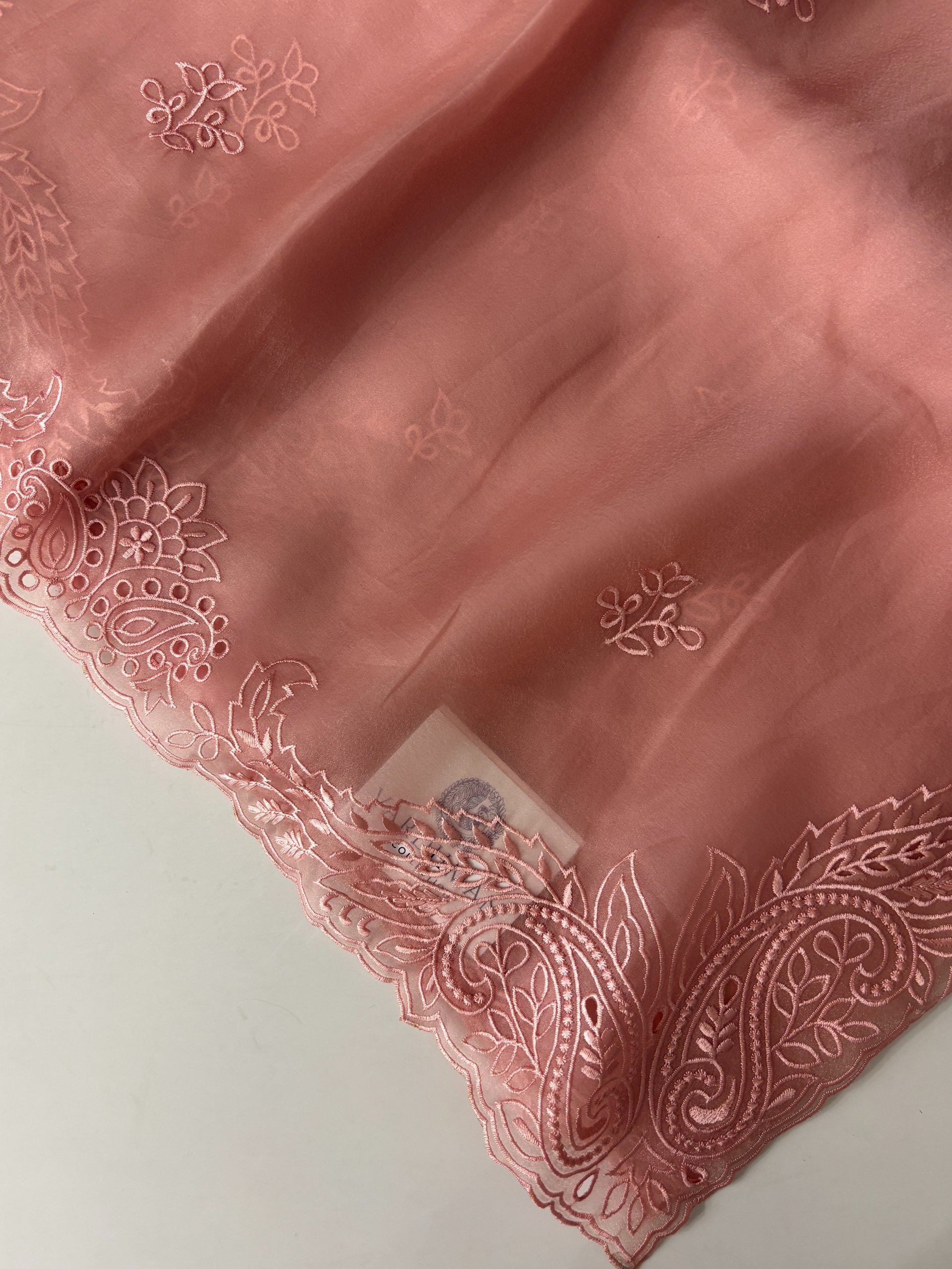 Light Peach Soft Organza Saree with Cutwork and Scalloping Border