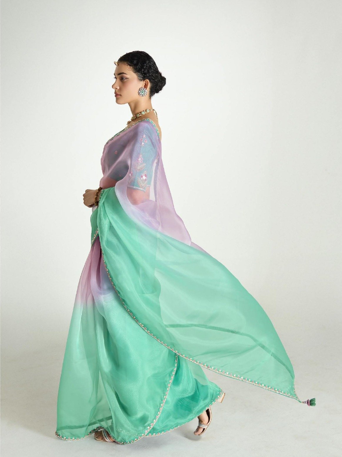 Tissue Organza Sarees with Rich Blouse