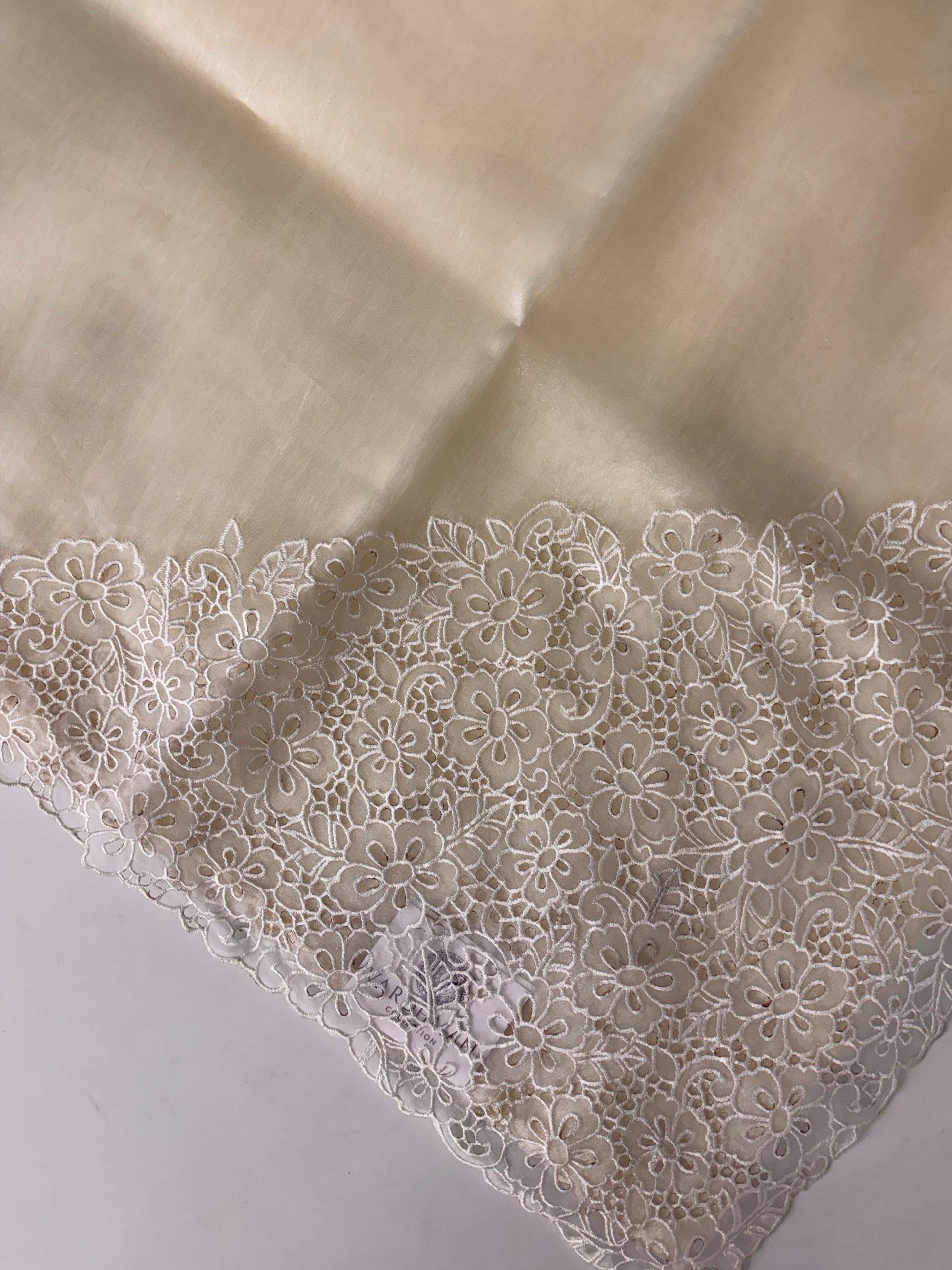 Off White Tissue Organza Saree with Cutwork