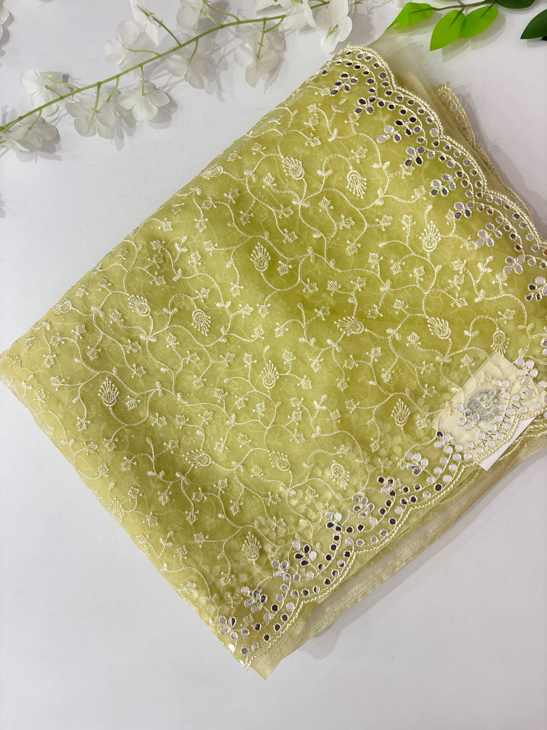 Pastel Parrot Green Organza Saree with Embroidery & Mirror Work